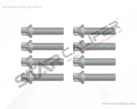 Caliper Cover Bolt Kit