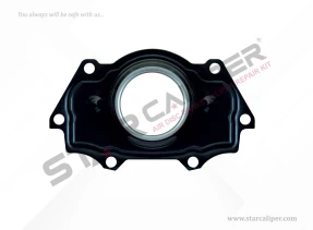 Cover (with Gasket)