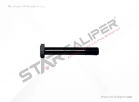 Bolt M22 x 1,5 x 175 mm