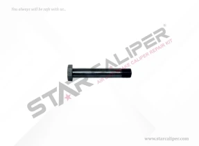 Bolt M16 x 1,5 x 125 mm