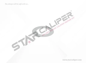 Plastic Washer