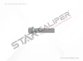 Cover Bolt M14 x 2 x 55 mm