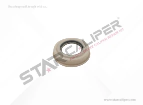Inner Seal