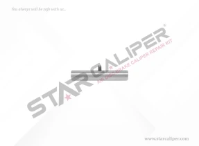 Roller Bearing Pin 