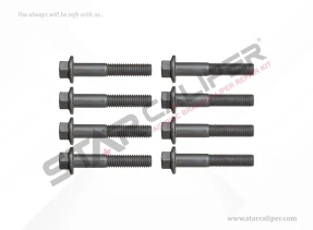 CALIPER CONNECTION BOLT