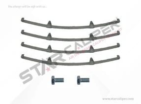 Caliper Pad Spring Kit