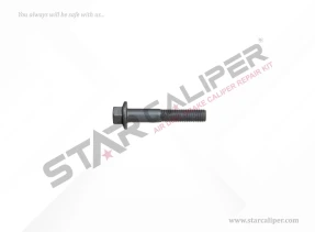 Bolt M8 x 45 mm