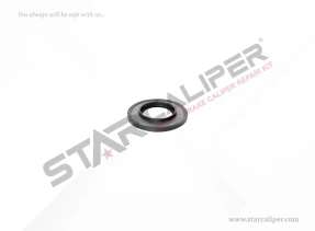 Actuator Seal