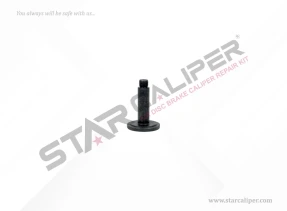Calibration Bolt