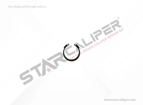 Circlip
