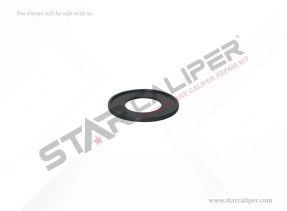 Actuator Seal