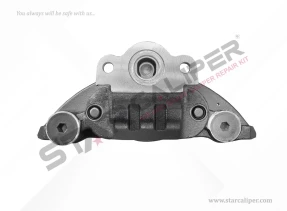 B.W COMPLETE CALIPER