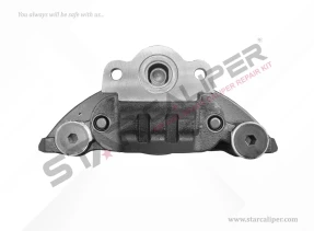 B.W COMPLETE CALIPER