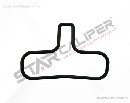 Caliper Body Seal