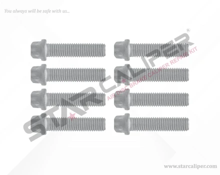 Caliper Cover Bolt Kit