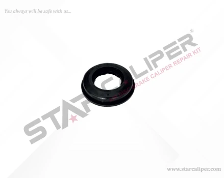 Inner Seal (Plate Locking)