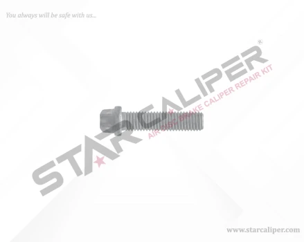 Cover Bolt M14 x 2 x 55 mm