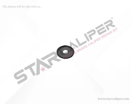 Caliper Seal
