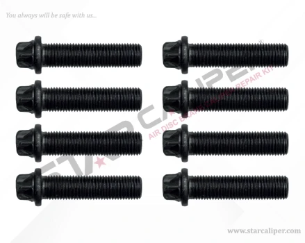 Caliper Cover Bolt Kit