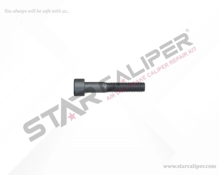 Bolt M8 x 45 mm