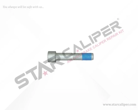 Bolt M20 x 1,5 x 100 mm