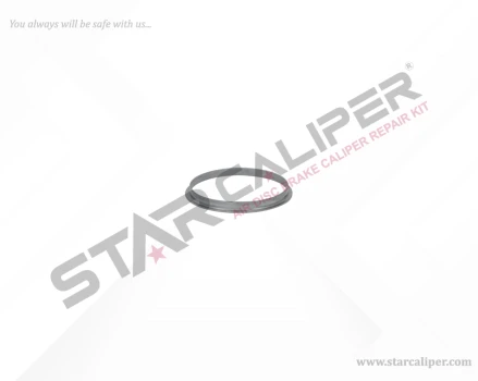 Dust Excluder Retainer