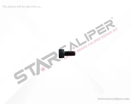 Bolt M6 x 12 mm