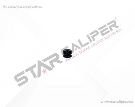 Dust Plug
