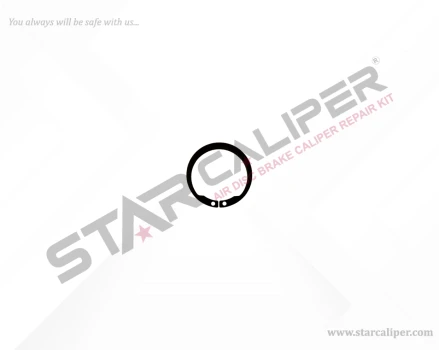 Circlip