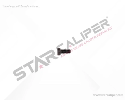 Bolt M8 x 16 mm
