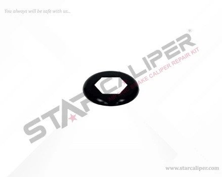Shaft Dust Cover
