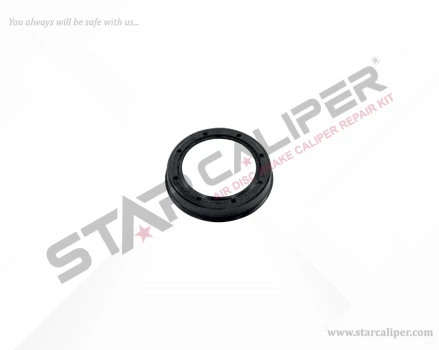 Cover Plate Seal