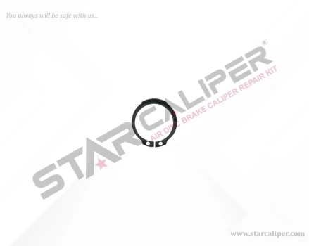 Circlip
