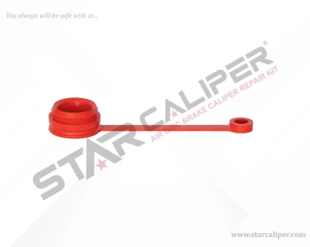 Sealing Plug