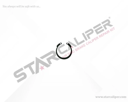 Circlip