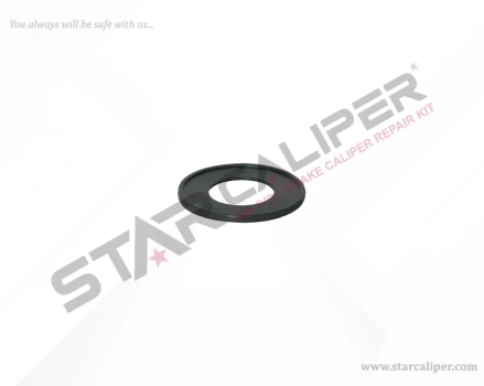 Actuator Seal