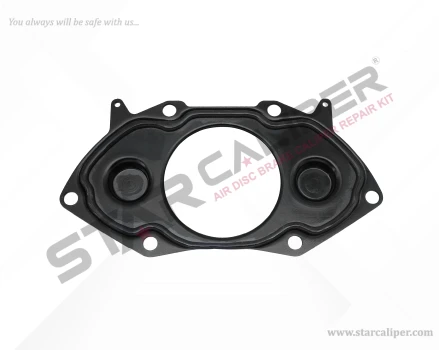 Cover (with Gasket)