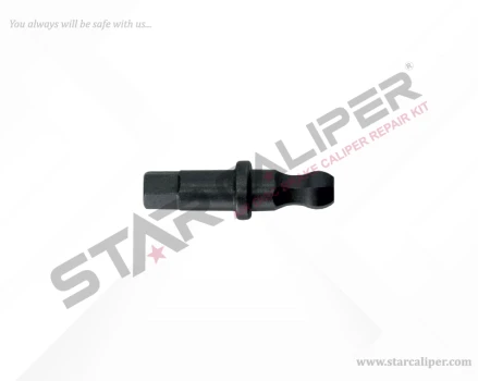 Adjusting Bolt