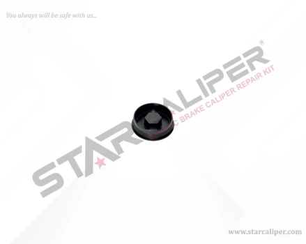 Plastic Cap