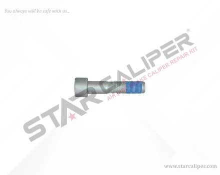 Bolt M16 x 1,5 x 100 mm