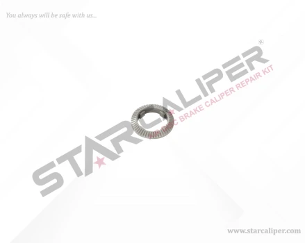 Sintered Round Washer