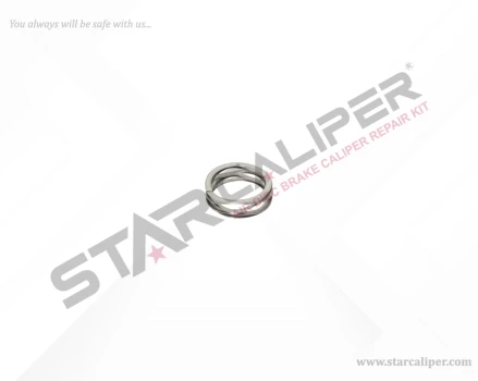 Mechanism Spring Raynel