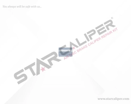 Roller Bearing Pin