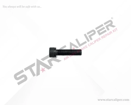 Bolt M12 x 1,25 x 45 mm