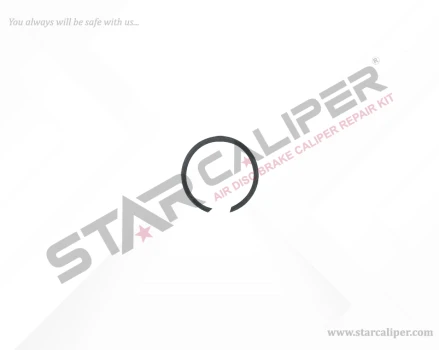 Circlip