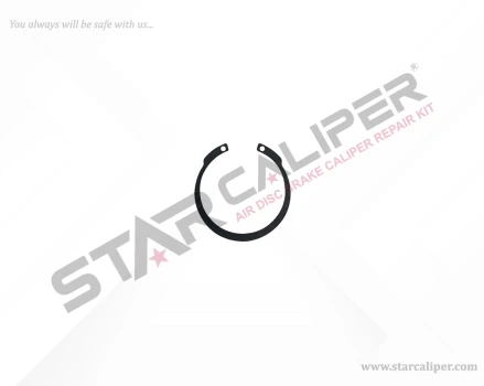 Circlip