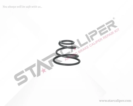 Mechanism Spring