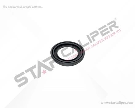 Seal 46 mm Piston