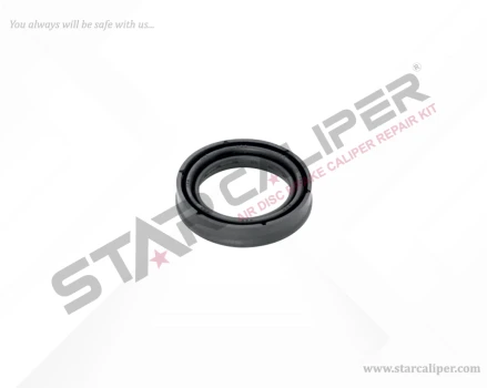 Seal 51 mm Piston