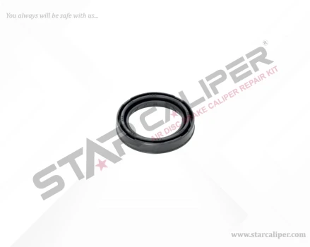 Seal 48 mm Piston